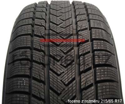 Gripmax SureGrip eWinter 113V XL Zimní